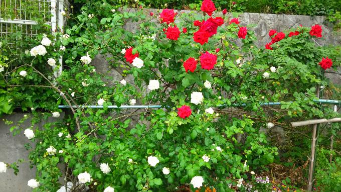 東日本三菱自動車販売株式会社 東京 神奈川 埼玉 茨城 山梨 長野 福島 栃木 新潟エリアの三菱ディーラー 東日本三菱自動車販売株式会社 東京 神奈川 埼玉 茨城 山梨 長野 福島 栃木 新潟エリアの三菱ディーラー