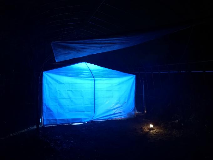 東日本三菱自動車販売株式会社 東京 神奈川 埼玉 茨城 山梨 長野 福島 栃木 新潟エリアの三菱ディーラー