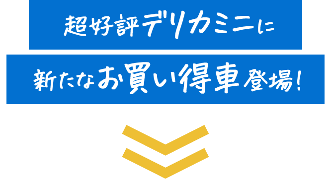 超好評デリカミニに新たなお買い得車登場！